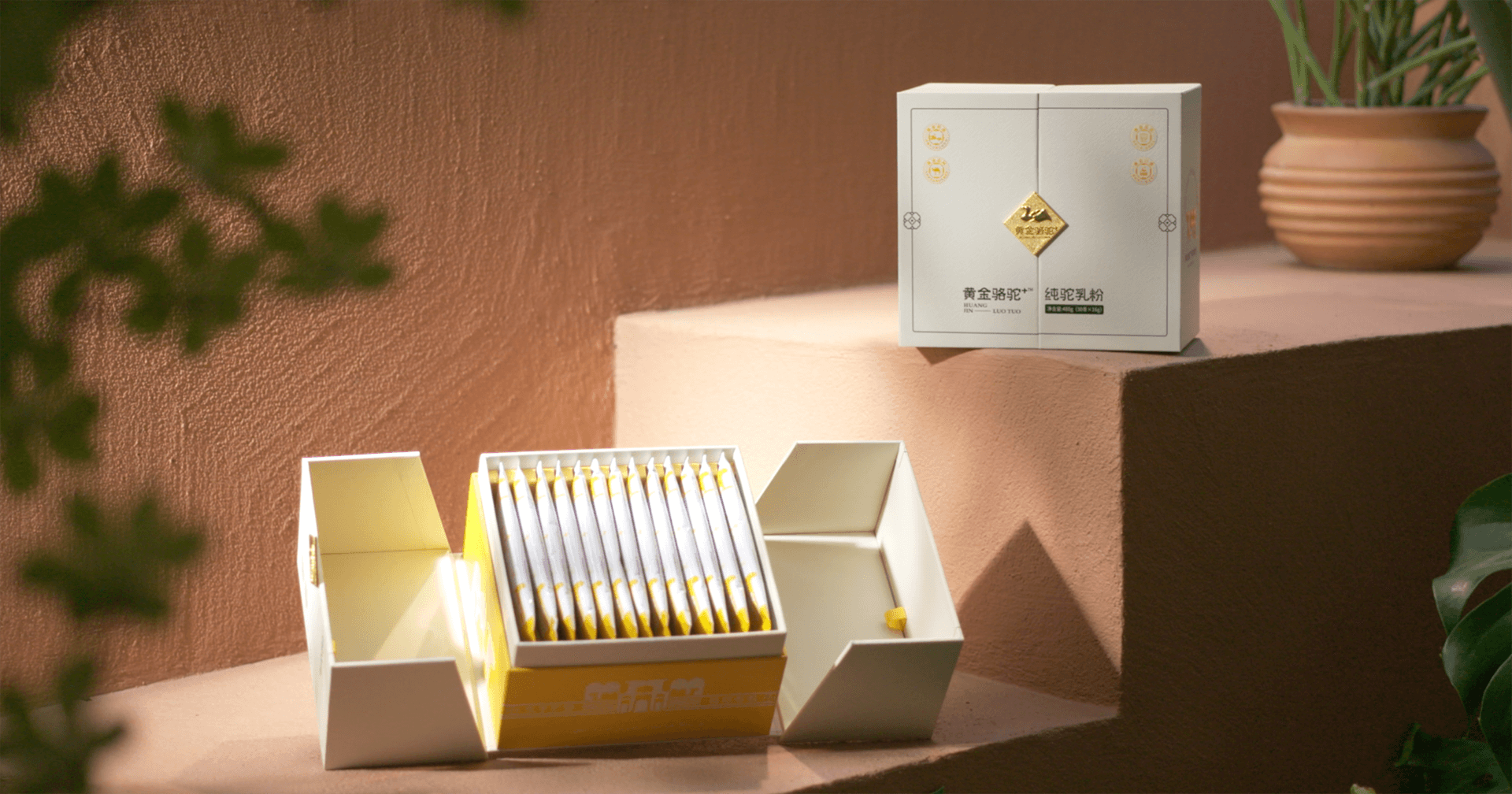 定位小众高端乳粉，jinnianhui今年会推出驼奶品牌“黄金骆驼+”，角逐乳品新市场！